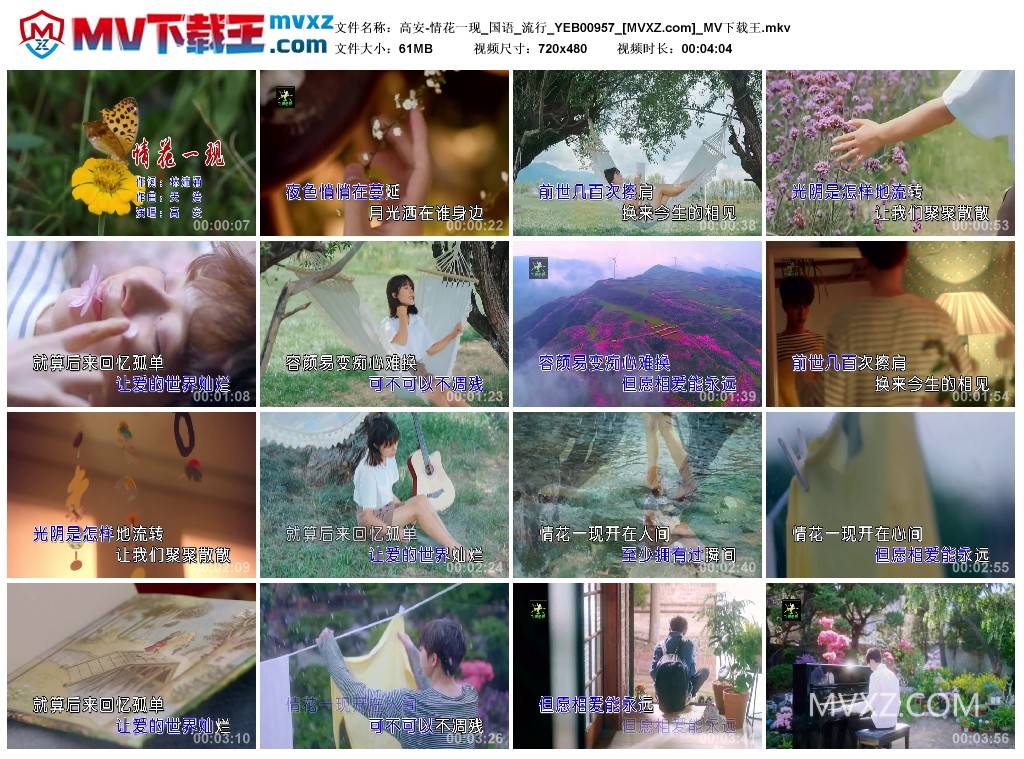 高安-情花一现_国语_流行_YEB00957